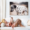 Fotodecoración de Fotoprix, panelprix XL personalizado. Utiliza tu foto más especial para decorar esa pared de tu salón tan apagada, te sacará una sonrisa.