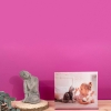 Fotodecoración de  Fotoprix, metracrilato personalizado. Decora tu hogar de una manera muy original y divertida usando tu foto favorita, la disfrutarás todos los días.