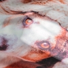 MantaPolar_Web_006