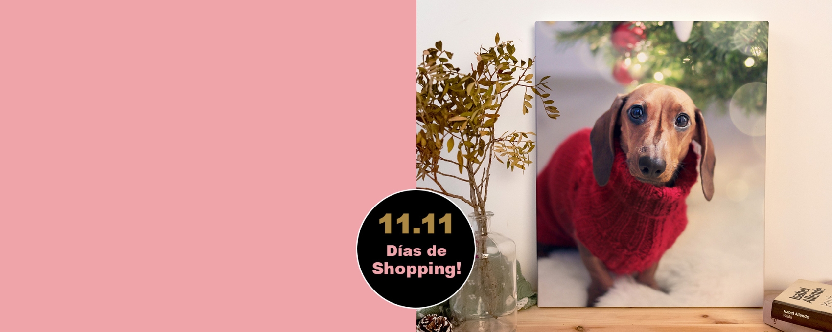 productos_promociones_1111_23_lienzo