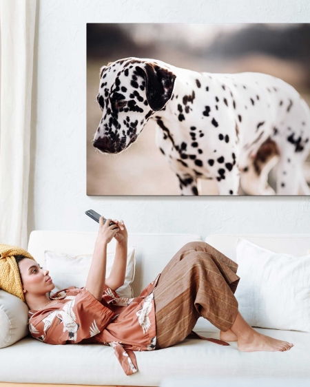 Fotodecoración de Fotoprix, panelprix XL personalizado. Utiliza tu foto más especial para decorar esa pared de tu salón tan apagada, te sacará una sonrisa.