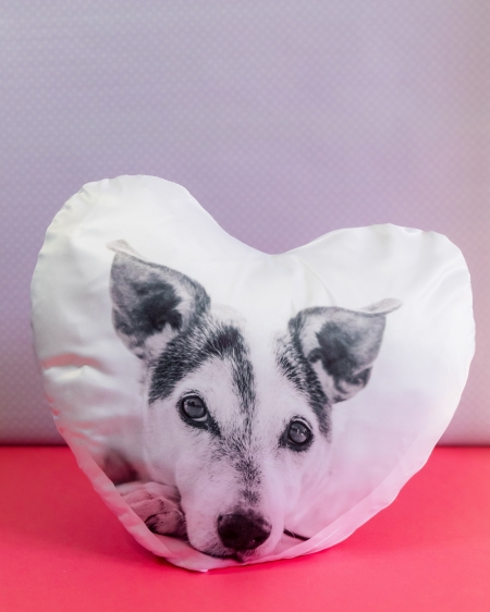 CojinCorazon_Web_007