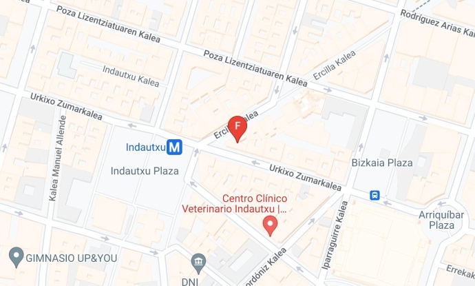 Mapa de tienda