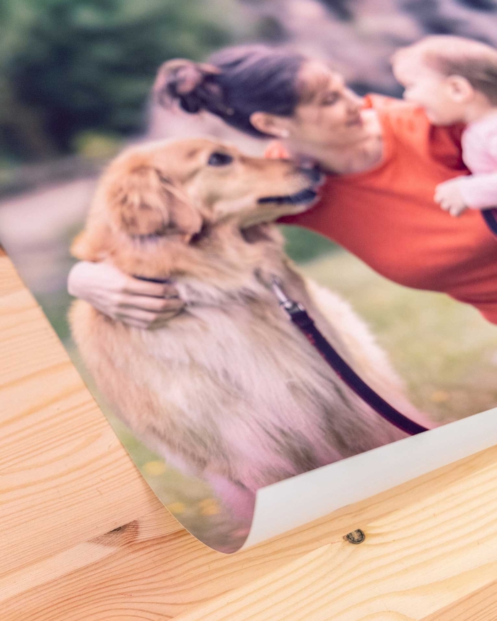 Fotodecoración de Fotoprix, foto detalle Poster personalizado. Imprime tu foto favorita a todo color y dale color las paredes de tu hogar de una forma divertida y emotiva.