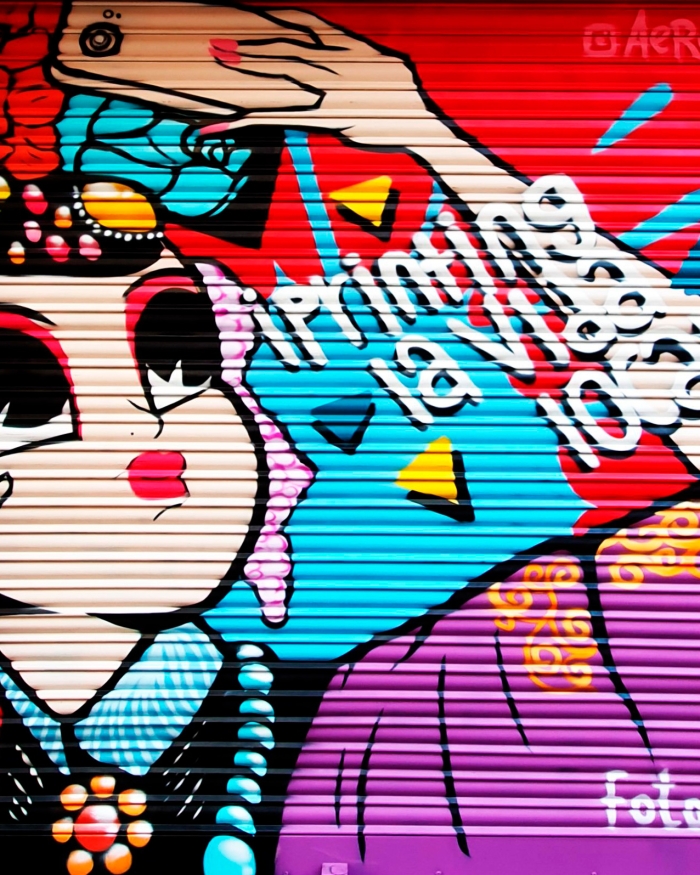 Grafiti exclusivo para la tienda de fotografía franquiciada de Fotoprix en Palma de Mallorca. Imagen de la persiana de la tienda de fotografía franquiciada de Fotoprix en Palma de Mallorca.
Donde aparece una joven moderna con el slogan de la empresa "¡Printing la vida loca!" haciéndose una foto selfie con su teléfono.