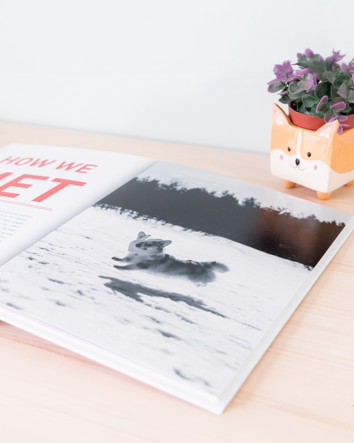 FotolibroPlus_web_011