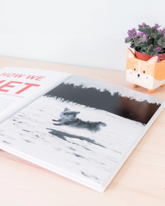 Fotolibro Plus abierto