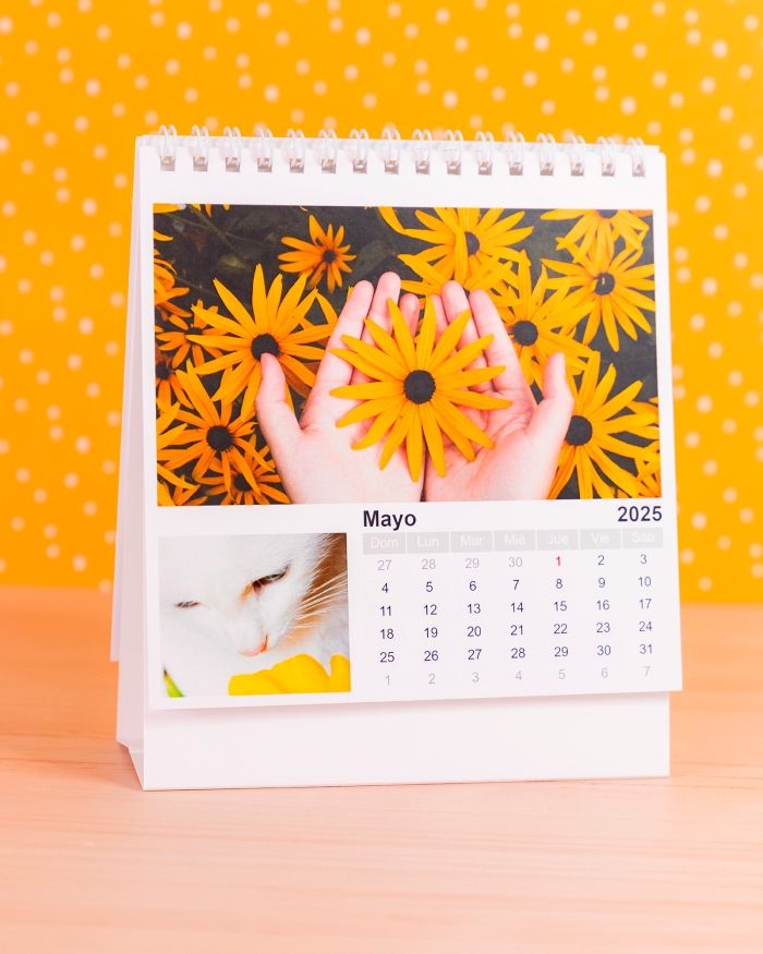 Calendario_SbMesa_14X14_02